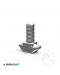 Hamerkopbout BSB - sleuf 10 | 3.0 - M8x20