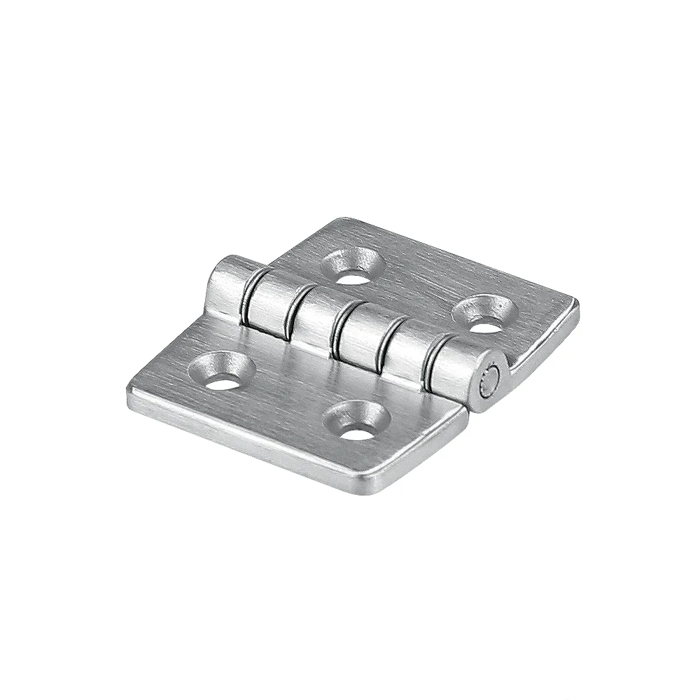 Categorie Stainless steel hinge